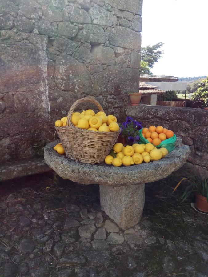 בית הארחה אלקאיינס 	Casa Do Balcao מראה חיצוני תמונה